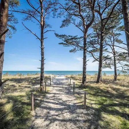 Windland-sanddorn